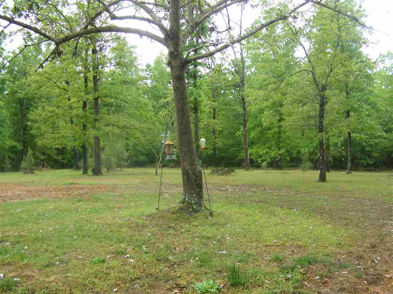 2107 Ode Moore Road Michie, TN 38357 - Photo 18 of 19 Gallery Image 18
