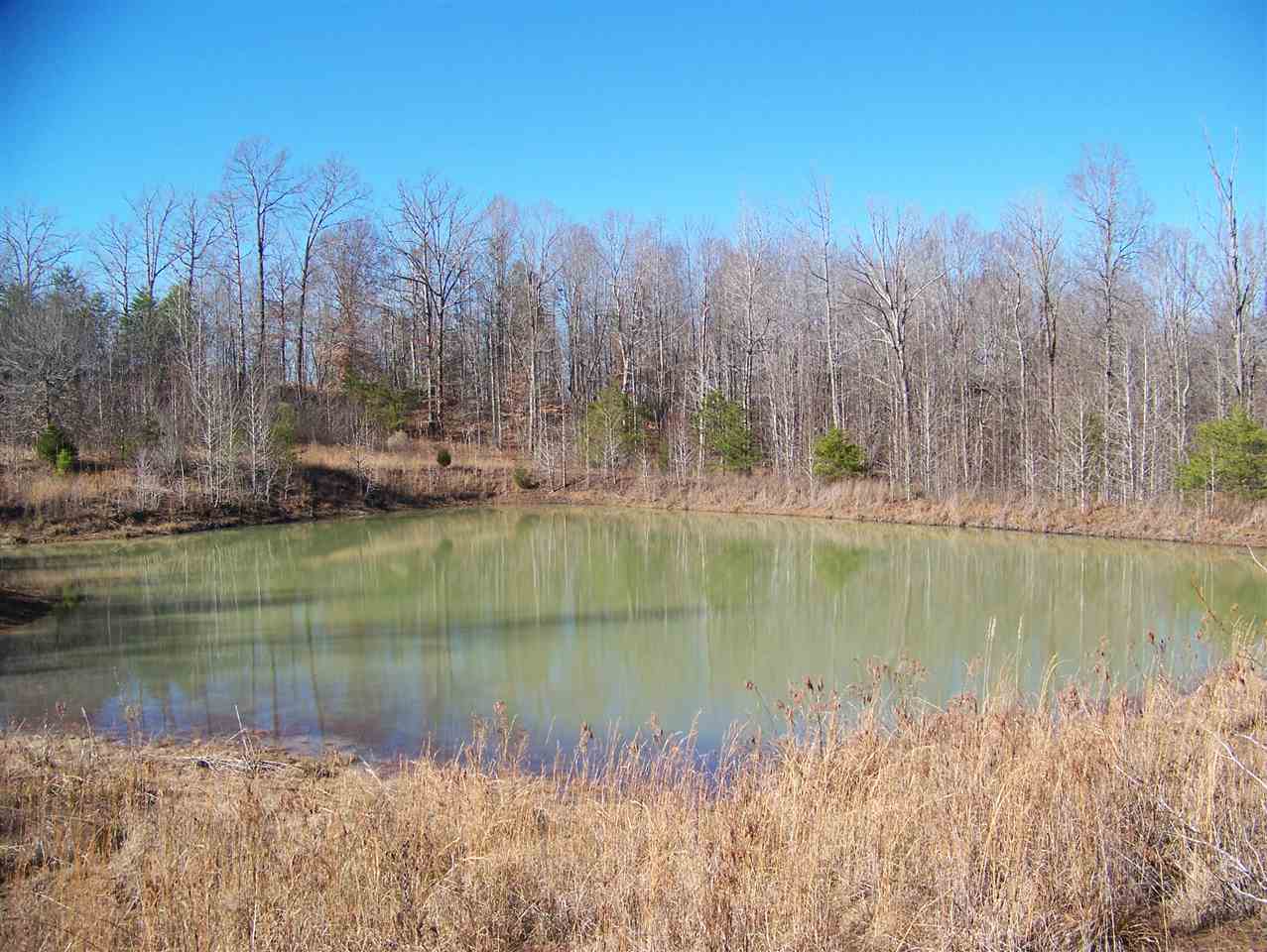 4735 Glendale Road Morris Chapel, TN 38361 - Photo 5 of 25 Fantastic area at the back of the property of this nice lake / pond