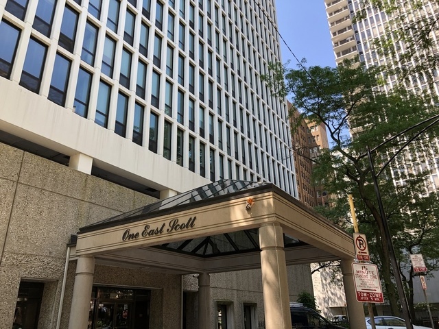 1 E Scott St, Chicago, IL 60610 - Photo 2 of 11