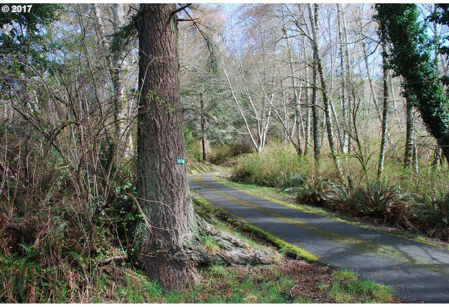 16941 Old County Road Brookings, OR 97415 - Photo 2 of 31 Gallery Image 2
