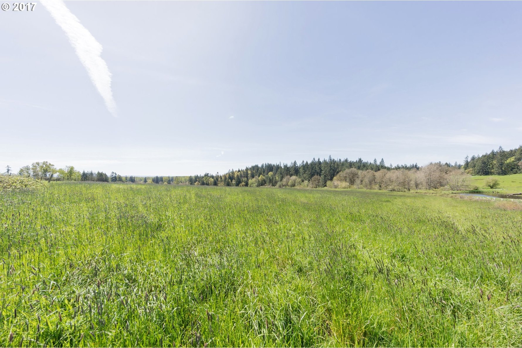 25091 South Central Point Road Canby, OR 97013 - Photo 9 of 18