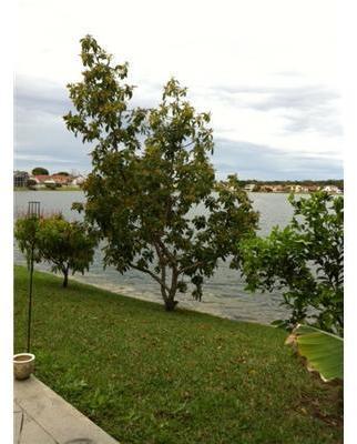 6723 Bayfront Drive Margate, FL 33063 - Photo 5 of 5
