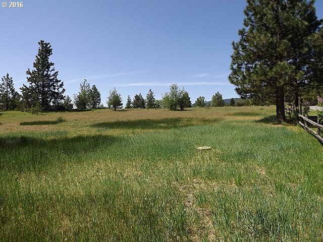 101 Lahar Road, Unit 1 Trout Lake, WA 98650 - Photo 14 of 22 Gallery Image 14
