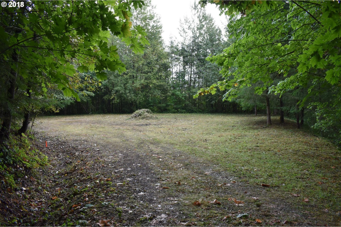 200 Hawks View Road Woodland, WA 98674 - Photo 4 of 6 Gallery Image 4