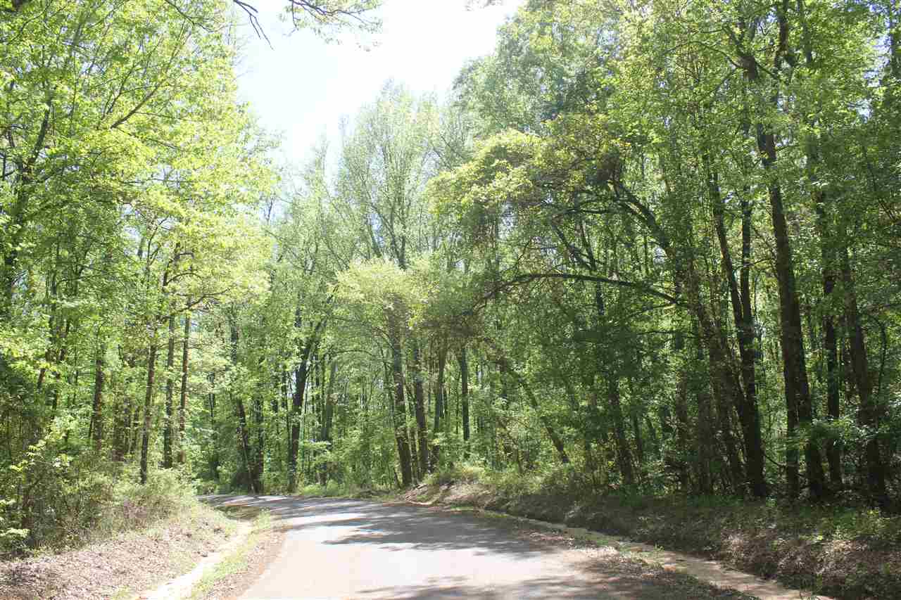 3 Hogan Road Lamar, MS 38642 - Photo 25 of 25 Gallery Image 25