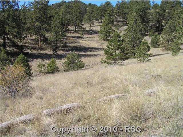 275 Jack Younce Road Guffey, CO 80820 - Photo 16 of 16 General property view. Nice mix of trees and meadow throughout