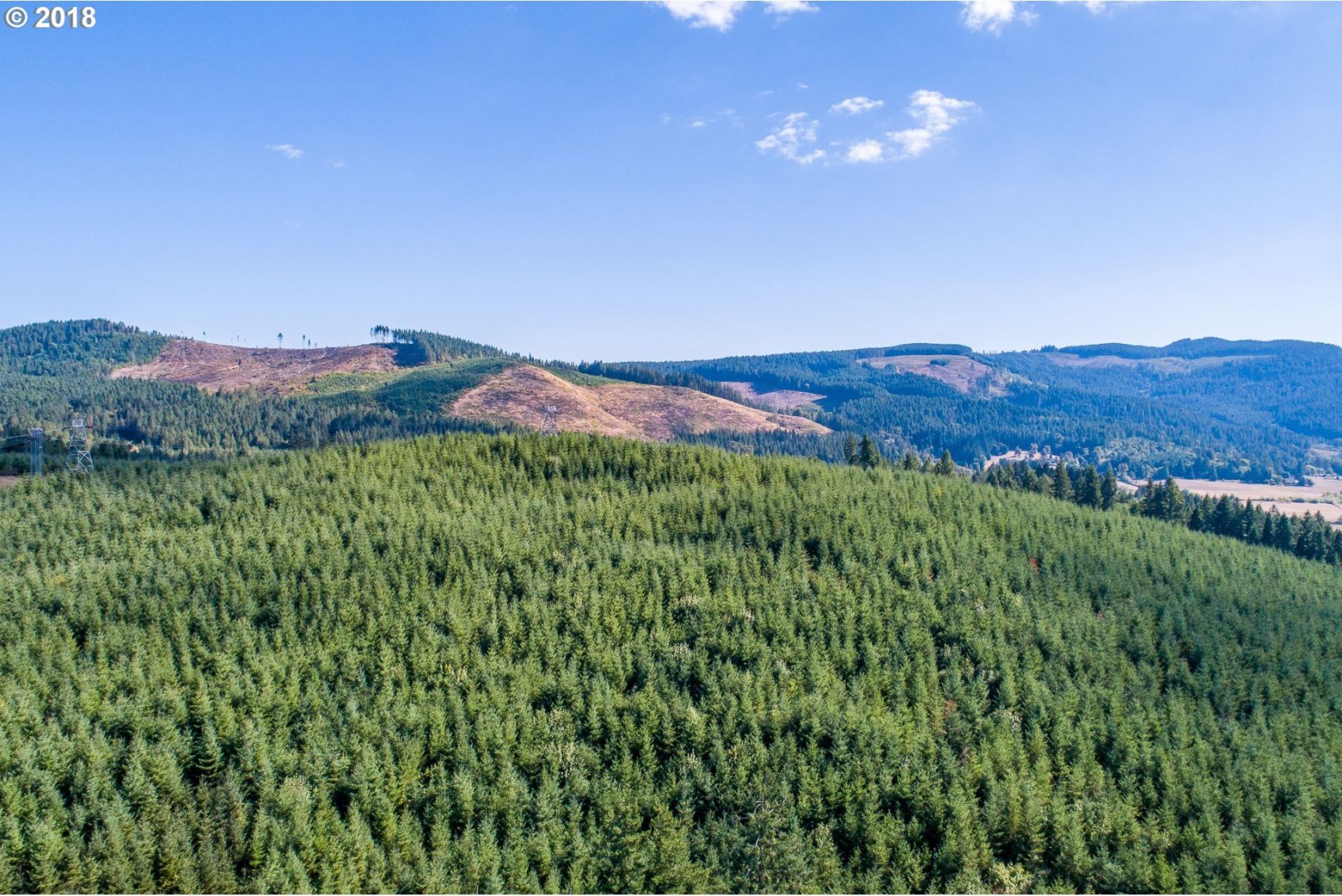 La Lone Road Springfield, OR 97478 - Photo 10 of 12
