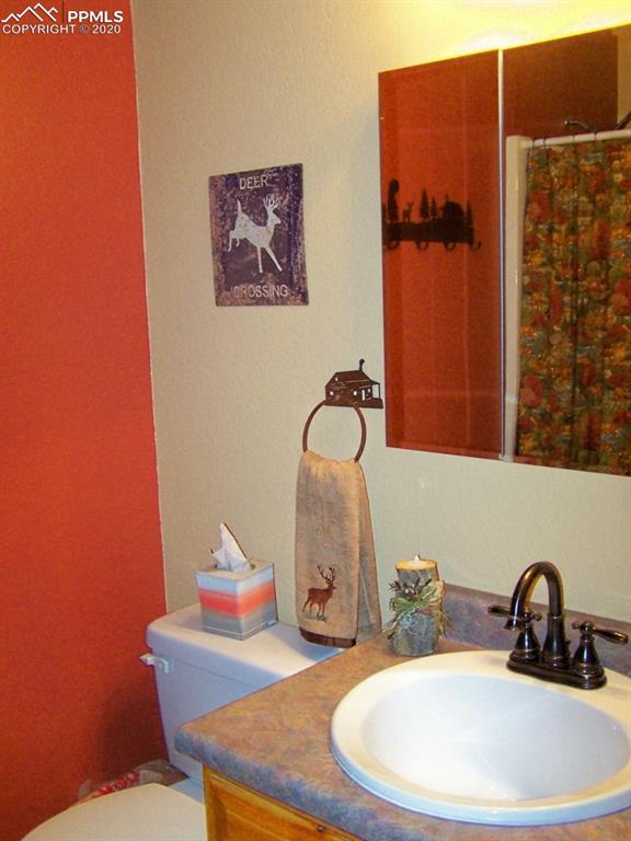 2602 Southpark Road Florissant, CO 80816 - Photo 16 of 25 Guest Full Bath with Updated Oiled Bronze Plumbing Fixtures