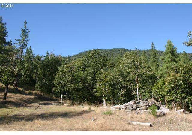 Guth Road Grants Pass, OR 97526 - Photo 5 of 8 Gallery Image 5