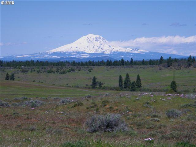 Esteb And Newton Road, Unit 19 Centerville, WA 98613 - Photo 1 of 6 Gallery Image 1