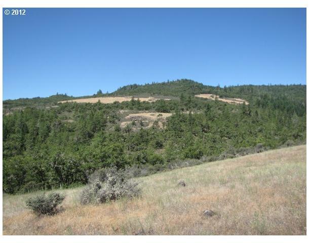 0 Worthington Road Eagle Point, OR 97524 - Photo 7 of 9
