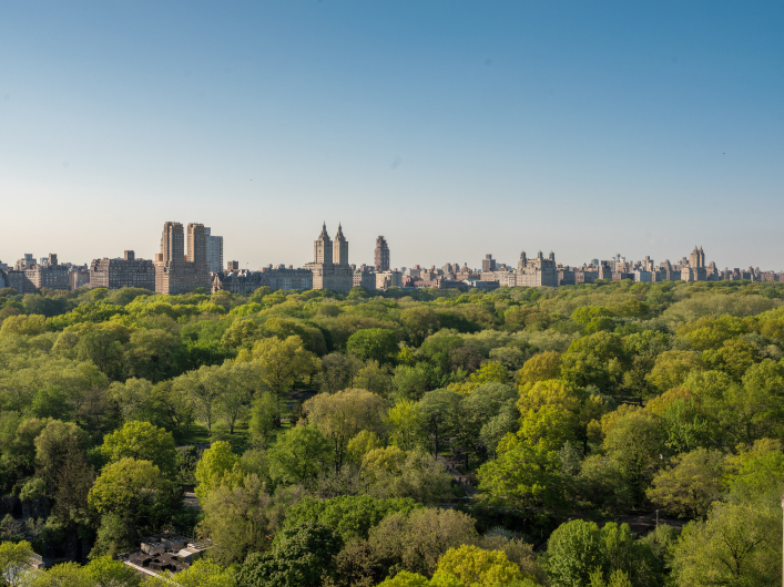 825 5th Avenue, Unit 17AB Manhattan, NY 10065 - Photo 20 of 22