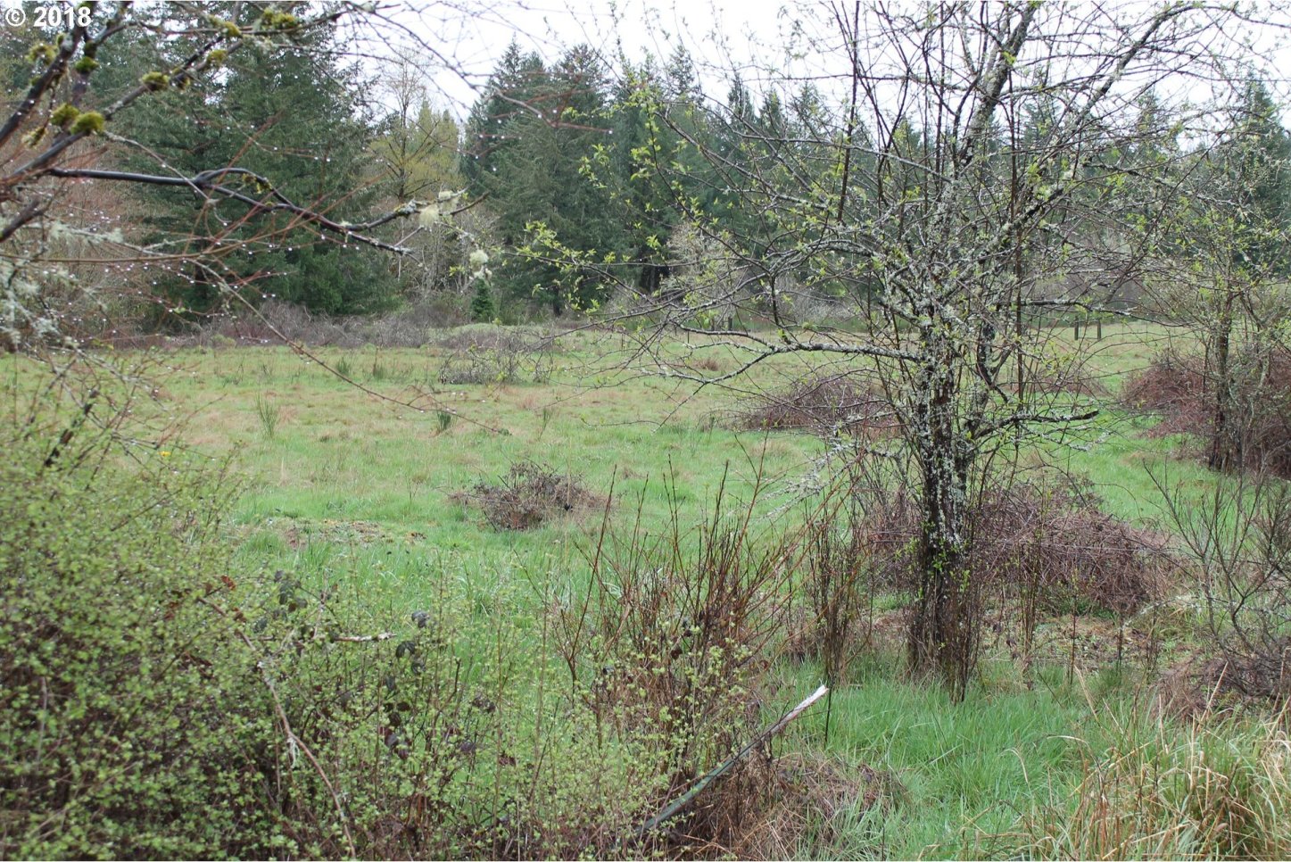 19265 South Munson Road Molalla, OR 97038 - Photo 6 of 8