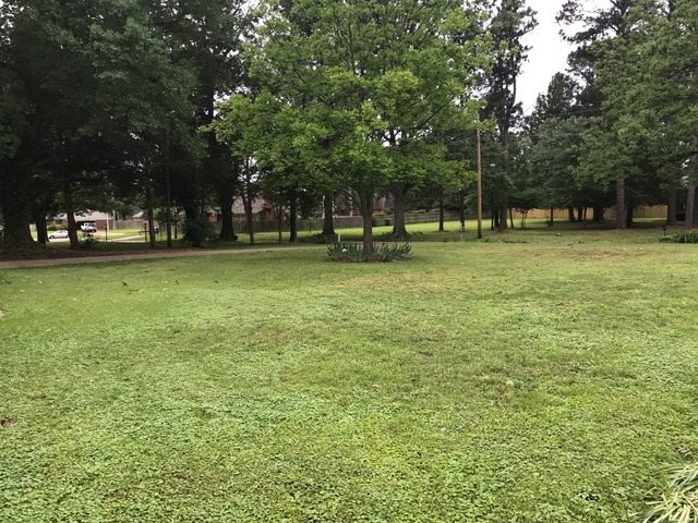 3868 Appling Road Bartlett, TN 38135 - Photo 16 of 18 Gallery Image 16