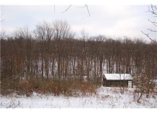Lee Road Burgettstown, PA 15021 - Photo 1 of 6