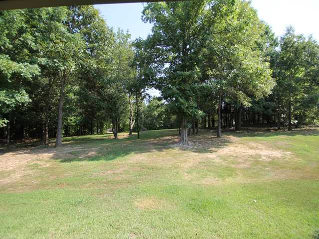 12644 Pinckley Road Arlington, TN 38002 - Photo 24 of 25 View of back yard from patio.