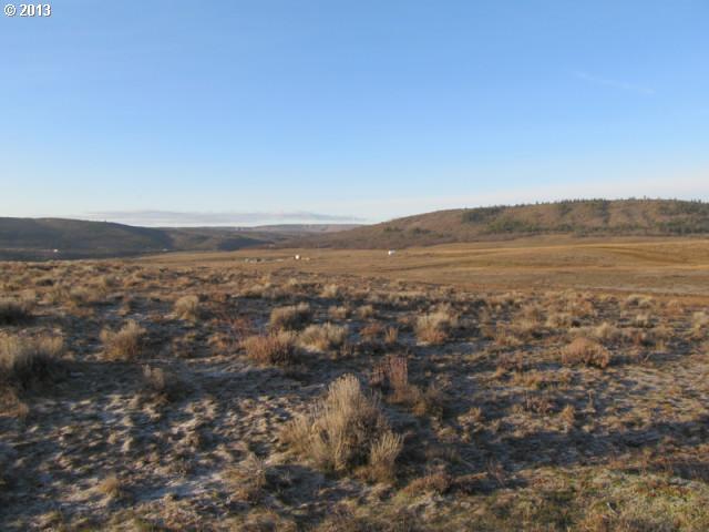 Angel Creek Road Goldendale, WA 98620 - Photo 4 of 7 Gallery Image 4
