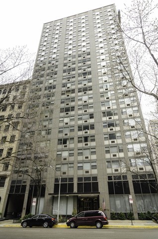 253 E Delaware Pl, Chicago, IL 60611 - Photo 3 of 8