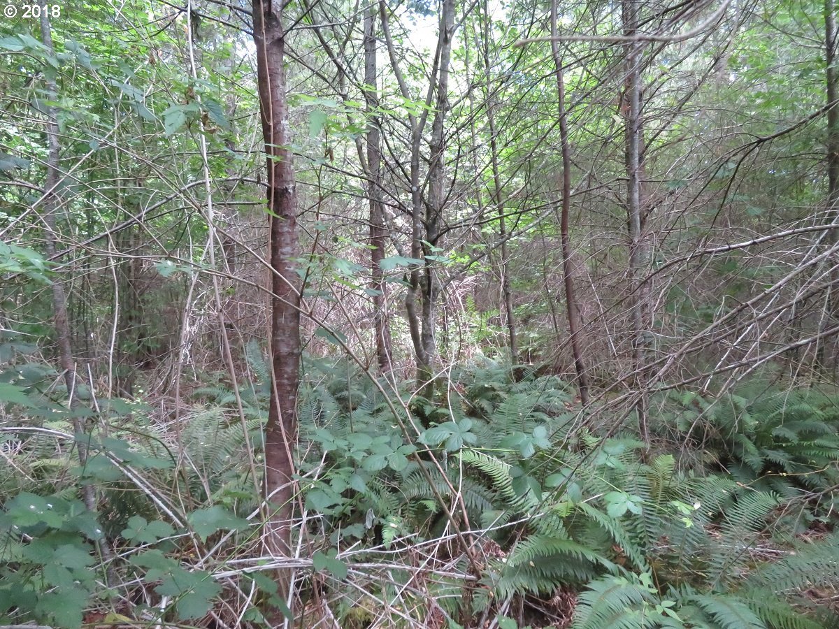 Centralia Alpha Road Chehalis, WA 98532 - Photo 22 of 25 Gallery Image 22