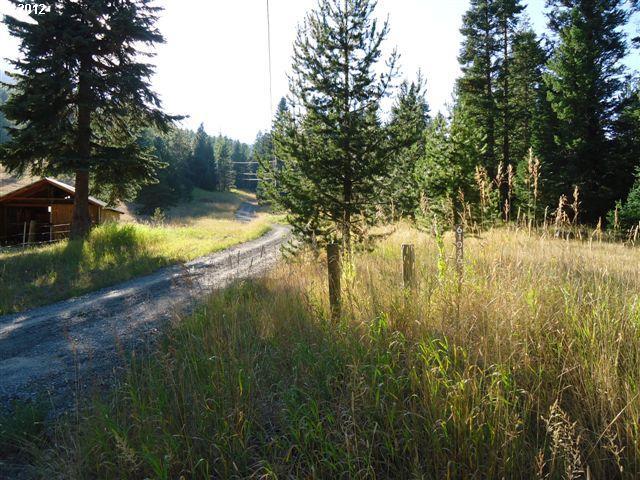 61046 Ski Run Road Joseph, OR 97846 - Photo 3 of 8 Gallery Image 3