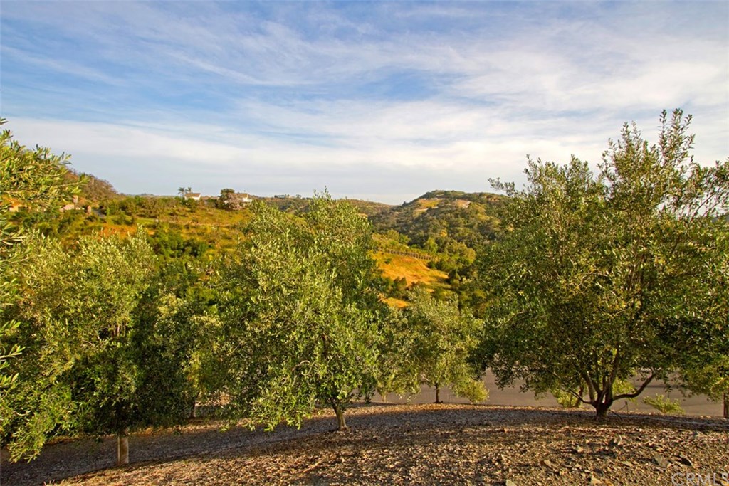 25652 El Chaval Place Temecula, CA 92590 - Photo 68 of 74