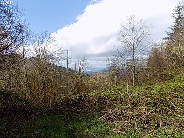 Mt Pleasant Road Kelso, WA 98626 - Photo 10 of 17 Gallery Image 10