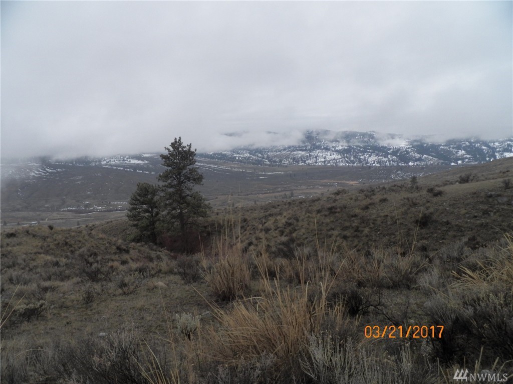 8 Morning Sun Road Tonasket, WA 98855 - Photo 8 of 25 Gallery Image 8