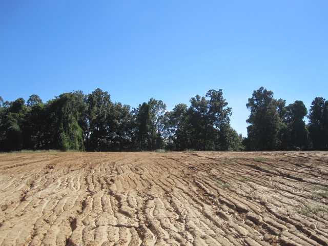 10 East Oak Grove Road Hernando, MS 38632 - Photo 2 of 10 Gallery Image 2