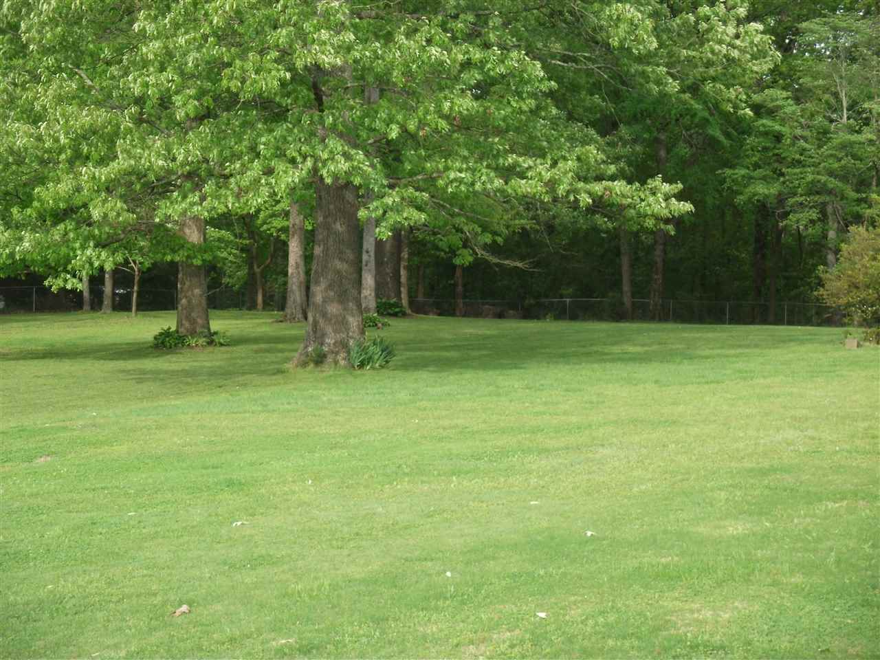 795 Fawn Road Oakland, TN 38060 - Photo 6 of 23 Gallery Image 6