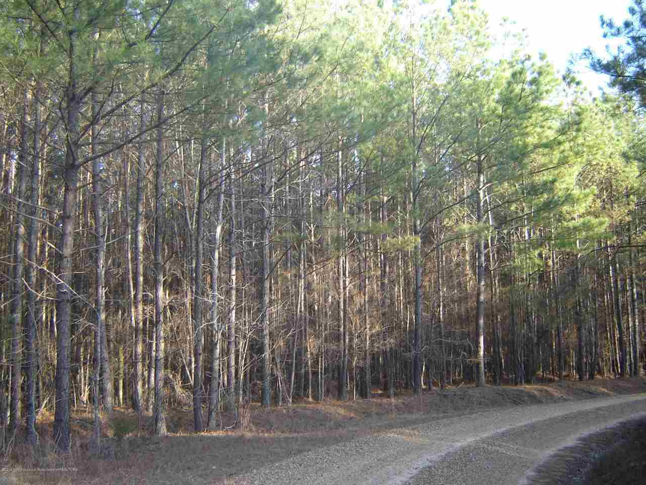 0 Faulkner Road Holly Springs, MS 38635 - Photo 13 of 15 Gallery Image 13