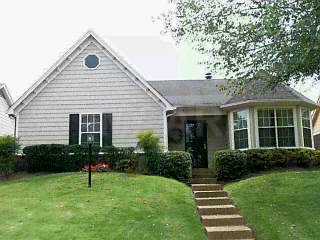 8429 Dexter Road Cordova, TN 38016 - Photo 1 of 1 Gallery Image 1