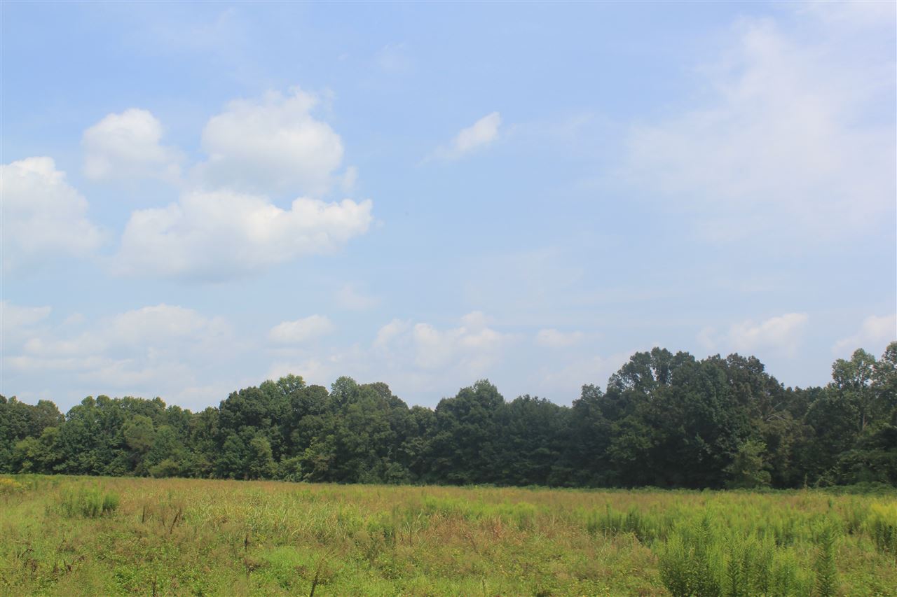 0 Robert Ford Road Waterford, MS 38685 - Photo 12 of 25