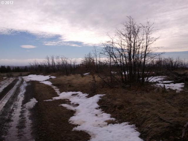 Jensen Quarry Road, Unit 62 Roosevelt, WA 99356 - Photo 8 of 12 Gallery Image 8