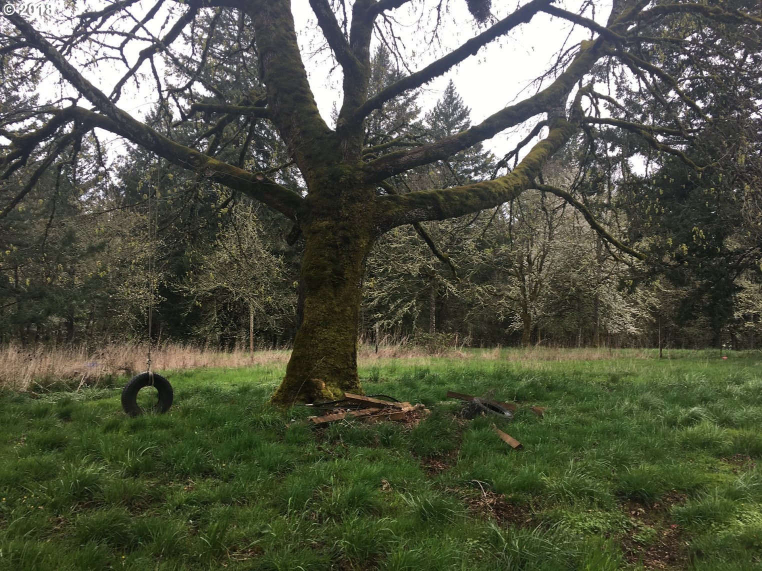 39691 Southwest Gibson Road Gaston, OR 97119 - Photo 13 of 14