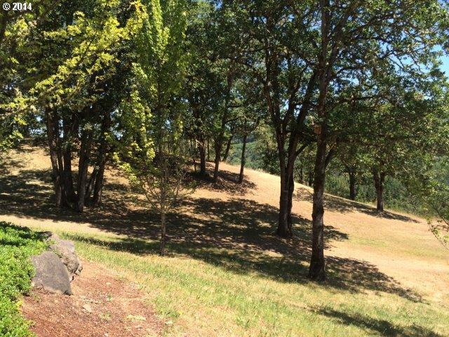1000 Green Valley Road Oakland, OR 97462 - Photo 14 of 16 Gallery Image 14