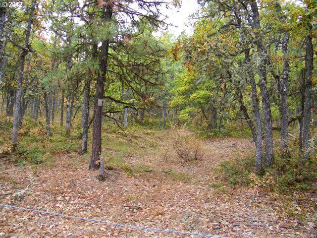 Soda Springs Road Goldendale, WA 98620 - Photo 8 of 10 Gallery Image 8