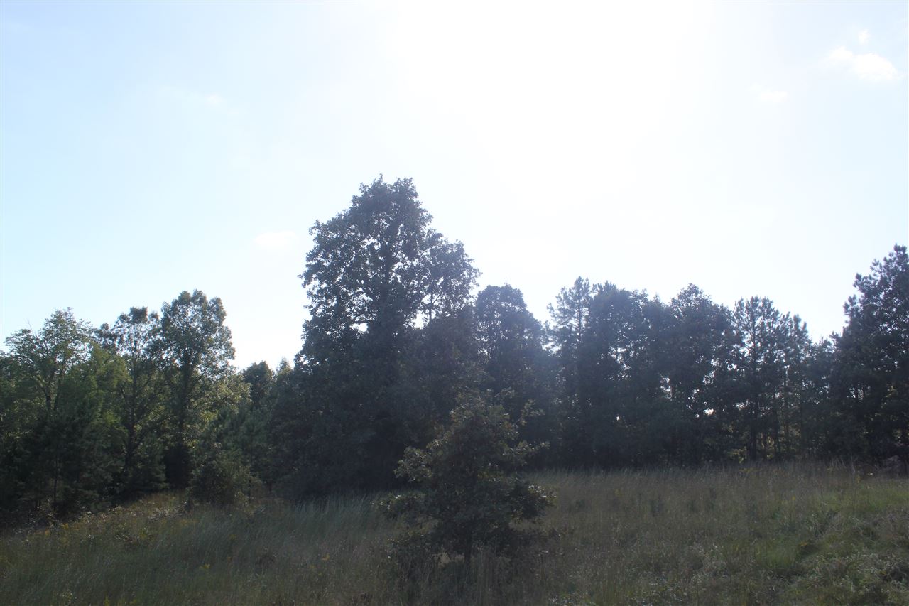 0 Winborn Tower Road Potts Camp, MS 38659 - Photo 6 of 25 Gallery Image 6