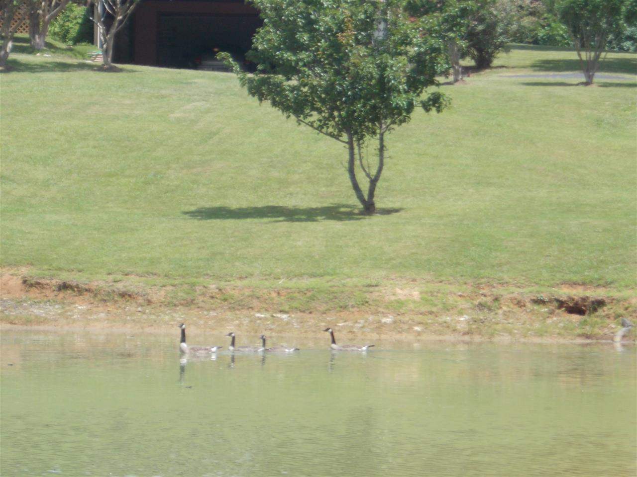 2610 Matt Dammonds Road Guys, TN 38339 - Photo 21 of 25 Gallery Image 21