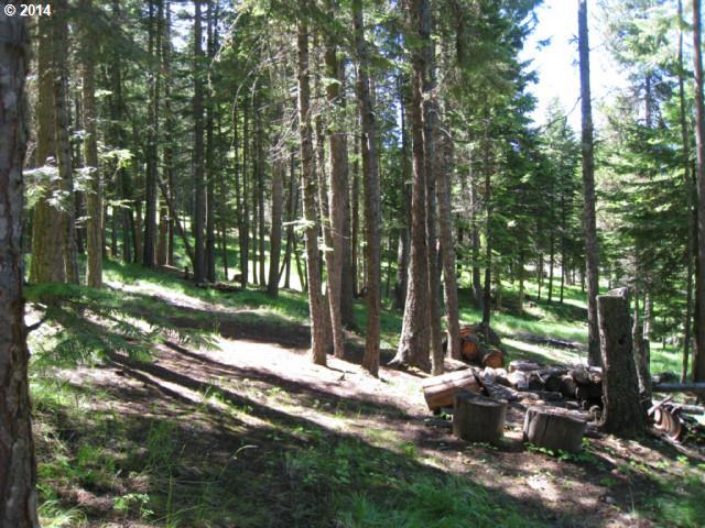 61687 Chief Joseph Loop Road Joseph, OR 97846 - Photo 2 of 9 Gallery Image 2