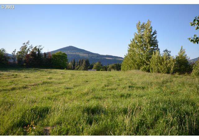 755 Aveny Road Hood River, OR 97031 - Photo 1 of 11 Gallery Image 1
