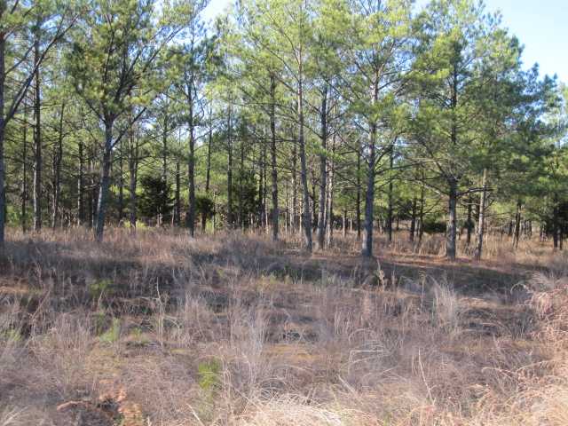 120 Smith Grove Road Holly Springs, MS 38635 - Photo 11 of 18 Gallery Image 11