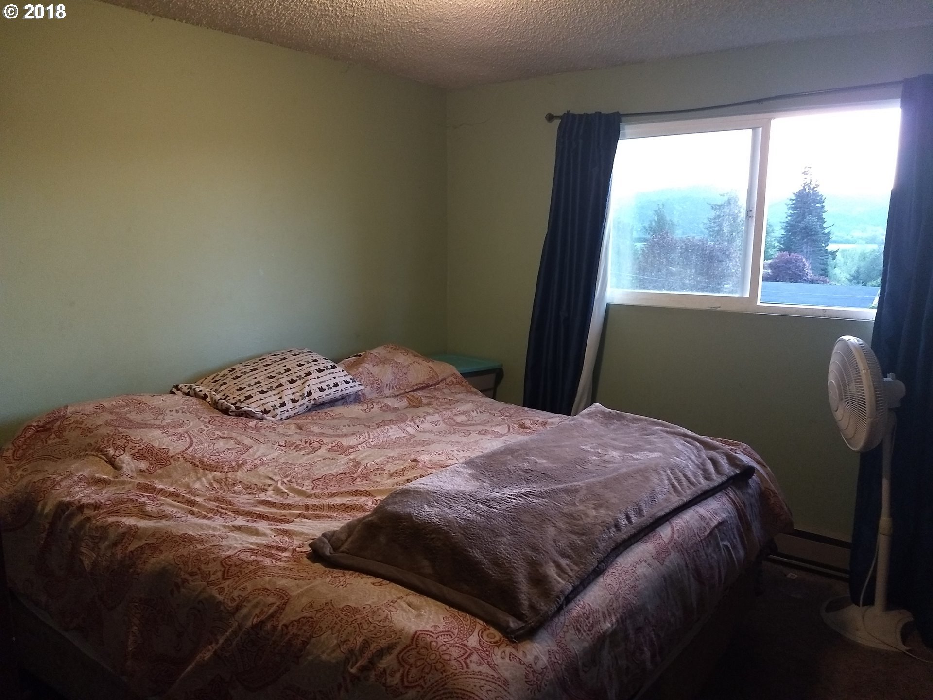 1568 19th Street Myrtle Point, OR 97458 - Photo 6 of 11 Gallery Image 6