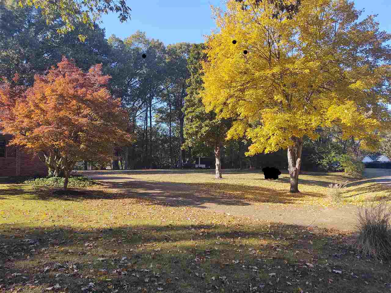 6137 Ivanhoe Road Bartlett, TN 38134 - Photo 2 of 24