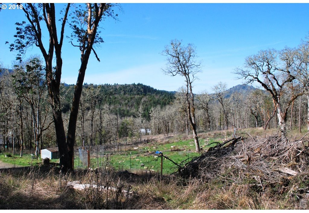 3007 Cleveland Hill Road Roseburg, OR 97471 - Photo 7 of 18 Gallery Image 7