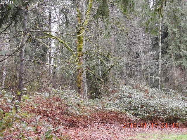 30775 Southeast Lawrence Road Estacada, OR 97023 - Photo 4 of 5 Gallery Image 4