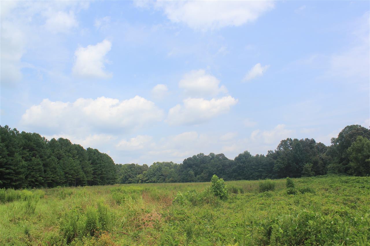 0 Robert Ford Road Waterford, MS 38685 - Photo 10 of 25