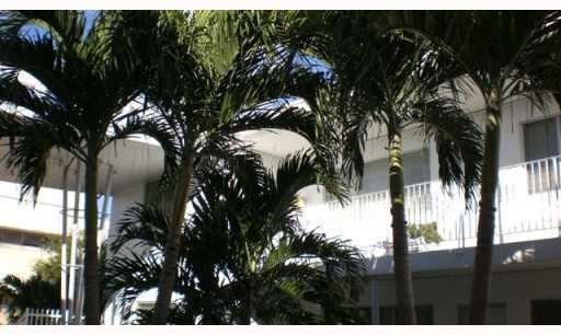 320 86th Street, Unit 3 Miami Beach, FL 33141 - Photo 10 of 14