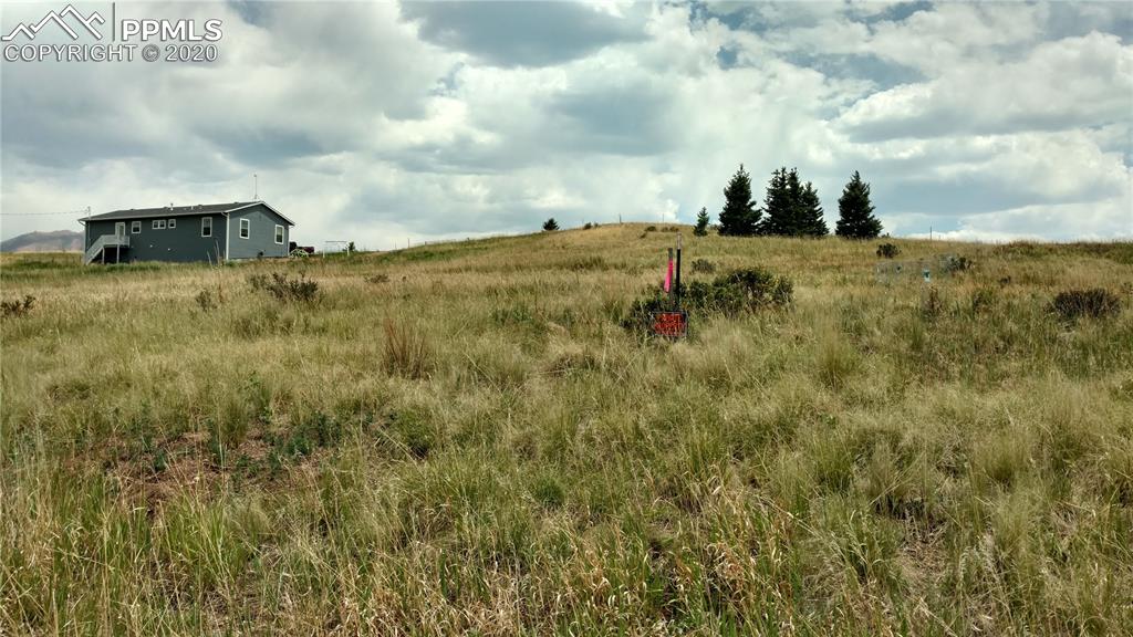 34 Herald Lane Divide, CO 80814 - Photo 15 of 16
