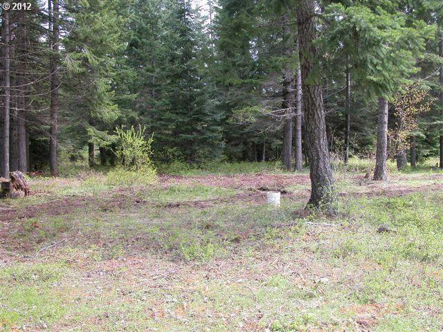 Moore Road White Salmon, WA 98672 - Photo 3 of 14 Gallery Image 3