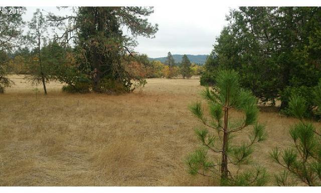 966 Doerner Road Roseburg, OR 97471 - Photo 6 of 8
